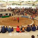 자인계정숲(씨름장) 이미지