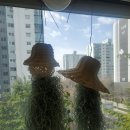 라탄스튜디오히히하하 이미지