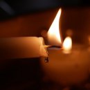 신라동물병원 이미지