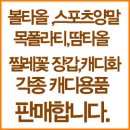 대영베이스컨트리클럽 이미지
