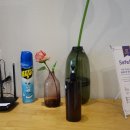 오캄럭스클럽H 이미지