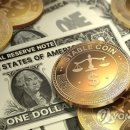 스테이블14 이미지