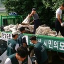 영길농장 이미지