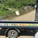 자연을먹는건강원