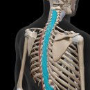 코어피트니스 우정점 이미지