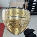 스타골프 | 군산 혼마 파크골프채 2스타 3스타 비교 구매 후기 골프샵