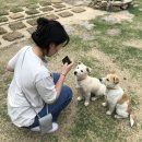 배꼽노리