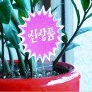 은광마트