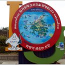 [섬테마 2023년 4월 8일 토요일] 특별 테마산행 "임자도 불갑산" 백만송이"튤립"의초대 안내 이미지