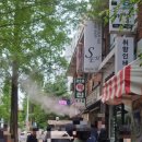 코오롱아파트 앞 교통섬 | 1인당 3팩만 가능! 떡순이들 다 모인다는 호박 인절미 맛집, 대구 코오롱 떡집.(택배예약X)