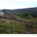 미래부동산중개사무소 이미지