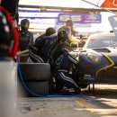 두두카써비스 이미지