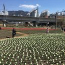 낙동강관리본부 화명생태공원 2 이미지