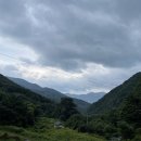 미소준약국 이미지