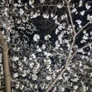 거두절미 (去頭截尾) 뜻 이미지