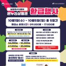 249 이미지
