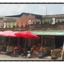 마이산흑염소 이미지