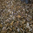 홍유릉로 | 군마트 PX 화장품 겨울철 보습크림 추천 촉촉한 피부 만들기 닥터지 멀티 보습밤 사용 후기