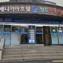 참꽃삼겹살 | 대구 근교 나들이♨️ 청도 용암온천 갔다가 봉자막창 40분 웨이팅한 사연 (주말 코스)