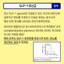 꿀벌약국 이미지