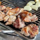 민경애견 이미지