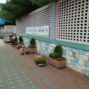 고색초교 이미지