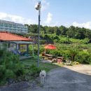 구들민박 이미지