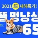 애완상회 이미지