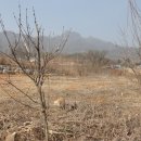 전재원공인중개사사무소 이미지