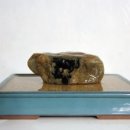 석질농장 이미지