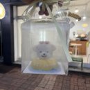 베럴댕 | [진주 강아지 수제간식 - 베럴댕] 강아지케이크 디자인 맛집, 한입 케이크 후기