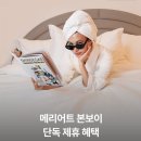 (주)신세계면세점 본점 | [중구] 역사적 콜라보 신세계면세점 본점 메리어트 본보이 팝업스토어 방문 후기