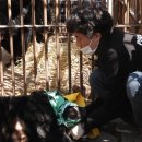 곰두마리농장 이미지