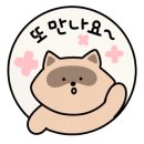 까비네펫살롱 이미지