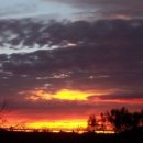 수펄스 카카오 검색결과