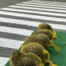 천일건어물 | #5️⃣ 9월 일상