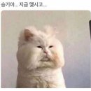 돈가스하우스 이미지