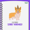 펫도매유통