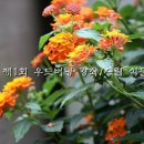 우드버닝 이미지