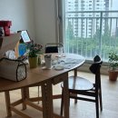 [인테리어.home] 디앤메종 강마루 오크RG 후기 사진