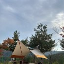 예손농원캠핑장 이미지