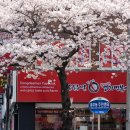중원적산 이미지