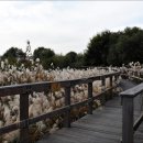 노을공원1 이미지