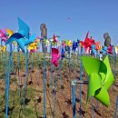 누리목장 이미지