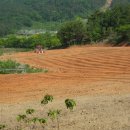 돈이농장 이미지