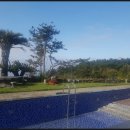 블랙랜드레이스 이미지