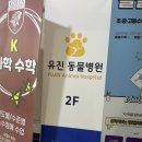 유진동물병원 이미지