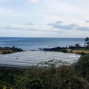 명근농장 이미지