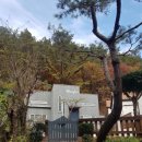 용문산공인중개사사무소 | 독채 월세 작은 텃밭 가능 용문산 숲세권 계곡펜션 용문숲부동산3050-1