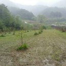 수목원펜션 이미지